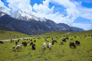 Chitral Gol Khunjerab National Park